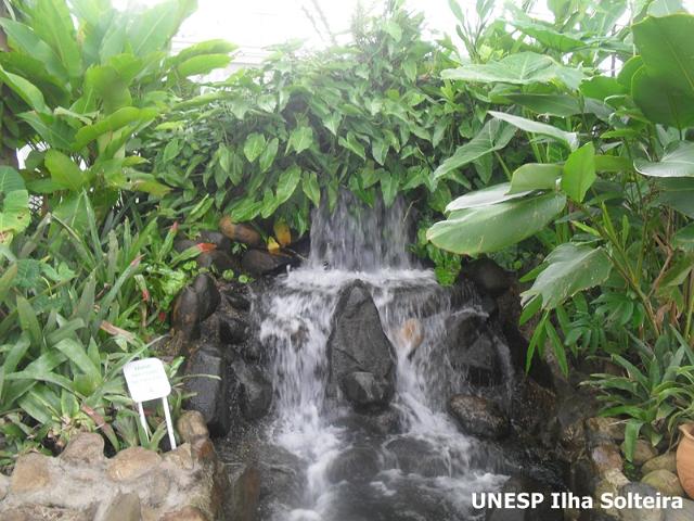 sbsr_maio_2011 (19).jpg